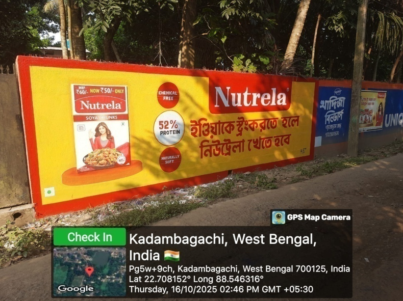 Rural wall painting — Nutrela visibility, West Bengal